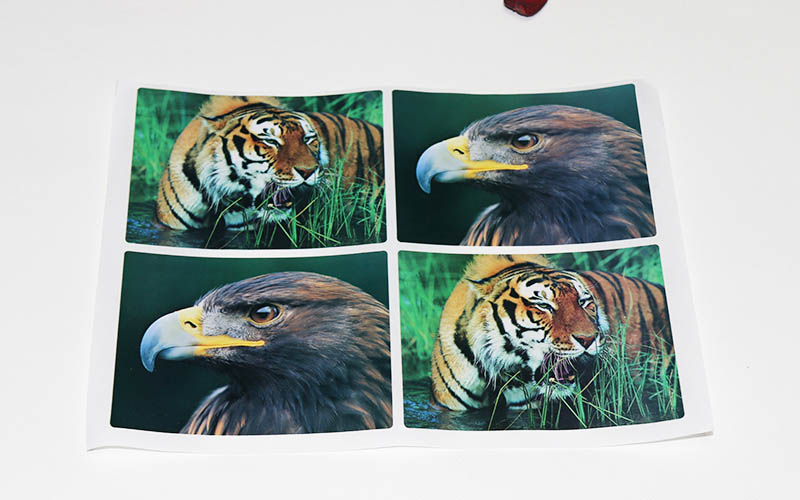 不幹膠印刷,貼紙印刷,标簽印刷