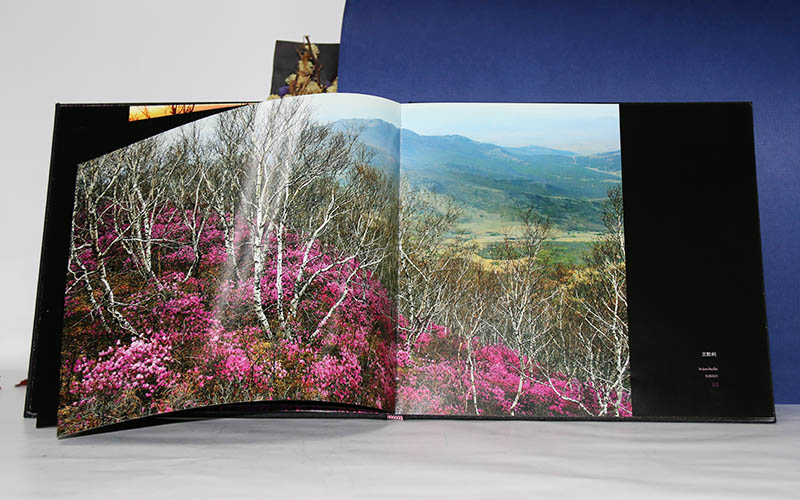 精裝書印刷,精裝書制作,精裝書印刷生産廠家