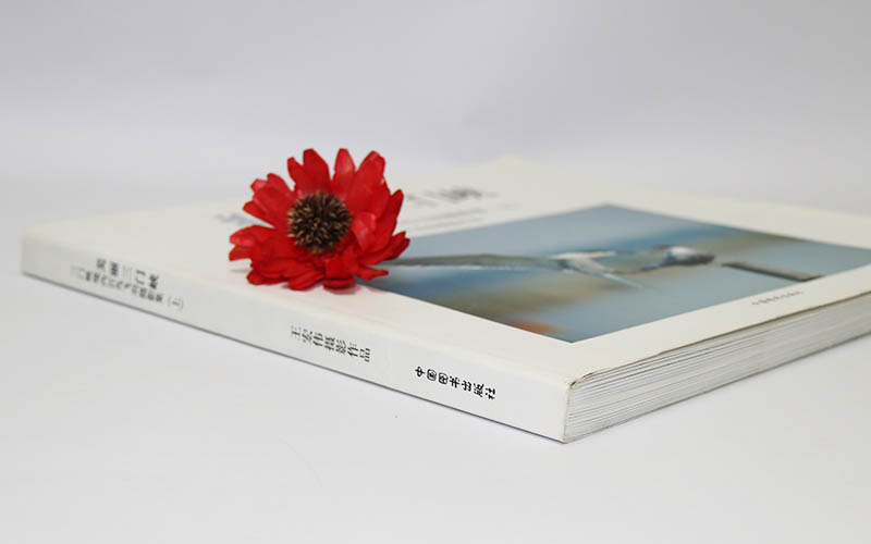 畫冊印刷,畫冊設計,宣傳畫冊印刷 畫冊印刷,畫冊設計,宣傳畫冊印刷